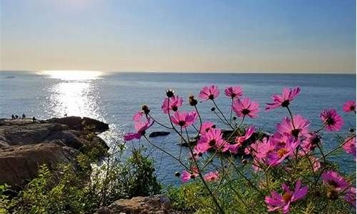 海子面朝大海春暖花开_海子面朝大海春暖花开创造了怎样的诗学意境