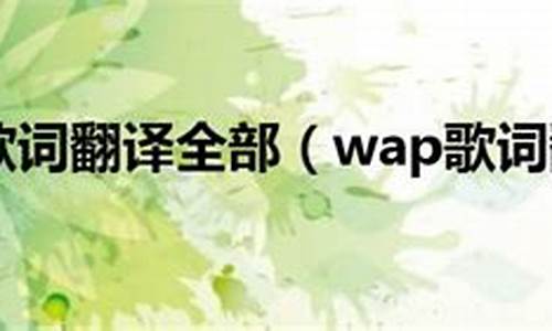 wap歌词中文翻译知乎_wap歌词中文翻译