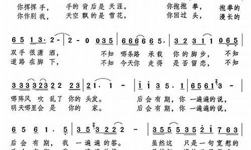 后会有期歌词完整版_后会有期歌词